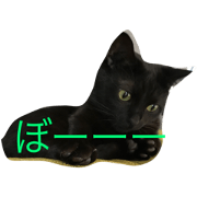 chachakoko