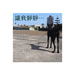 姆姆的內心話：D