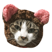 ankochan
