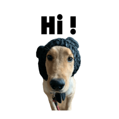 Nanami_20210624190246