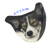 dog is nanako