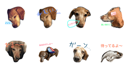 choco's room