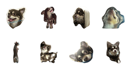 cutemaron
