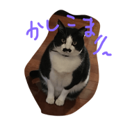 fukuchanpon2