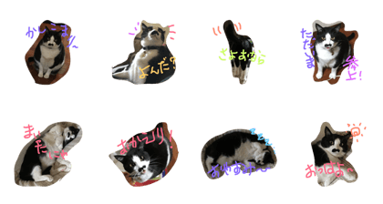 fukuchanpon2