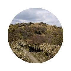 yukari_20210624163443