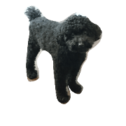 Pudle