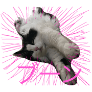 bernyanstamp