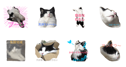 bernyanstamp