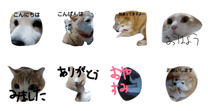 mump stamp