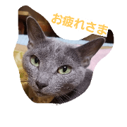 azukiandanko