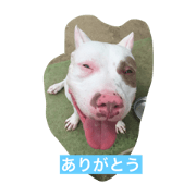 patch