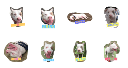 patch