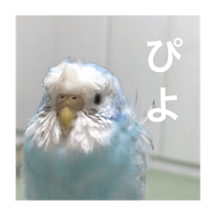 Miki_20210624224008