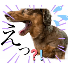 asuka_20210625000928