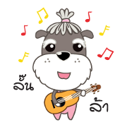 Achi Dog