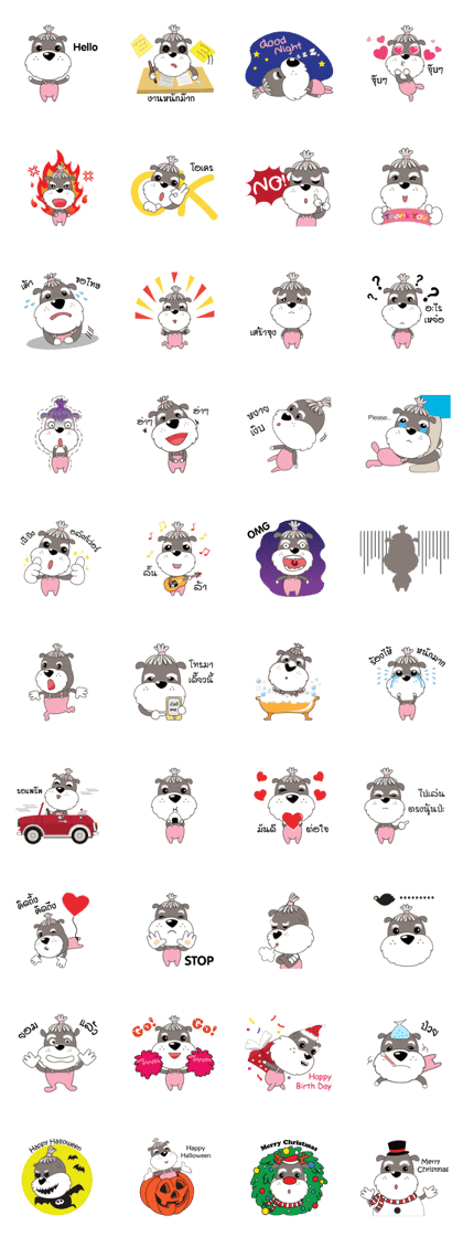 Achi Dog