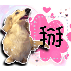 Mimi & Miumiu 訊息貼圖2