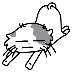 Lazy Cat "Heng-Heng"