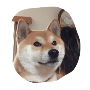 kouchan0909