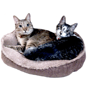 Ginjiro and Mitsu