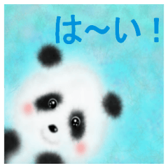 i love a panda.