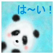 i love a panda.