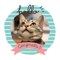 CHerry_20210625082109