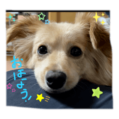 spider-man_20210625102502