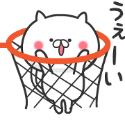 The cat loves basketball!3