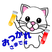 A science teacher of white cat