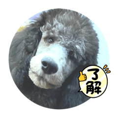 Rina_20210625125700