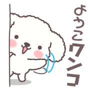 Youko Dog