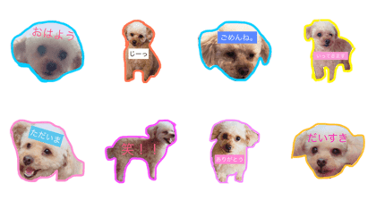 mofu-mofu diary