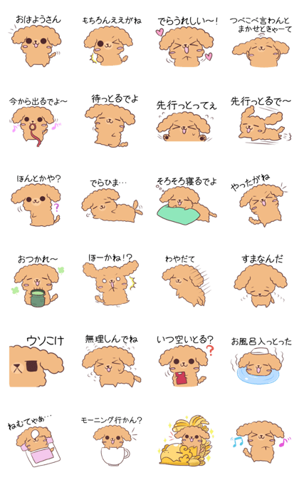 Toy poodle of Nagoya dialect