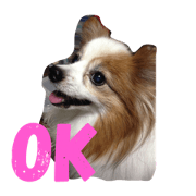 pepekichi