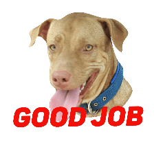 A-DOG V.2