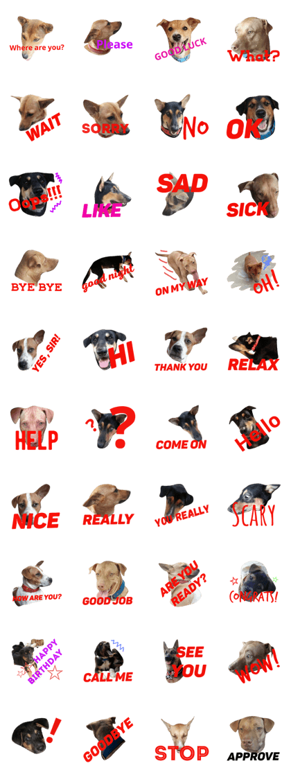 A-DOG V.2
