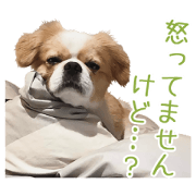 Our Dogs Sticker 10