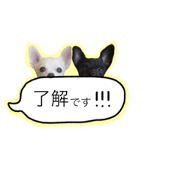 Mei and Toto
