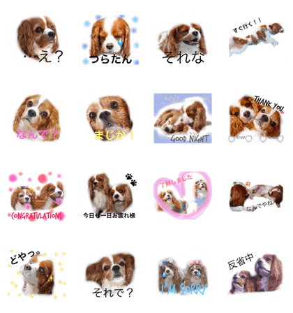 chokokuru
