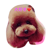 PURIN.MARON