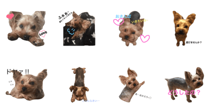 YorkshireTerrier Sticker1