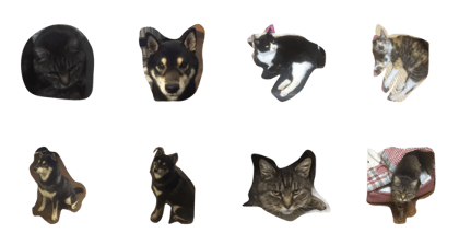 dogcatdog