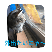 KURO's daily life!