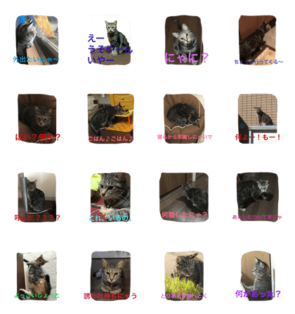 KURO's daily life!