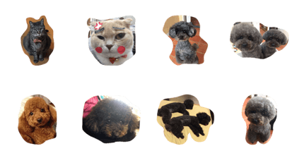 PET&BED