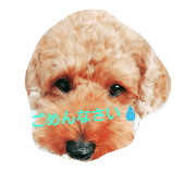 chocowanco