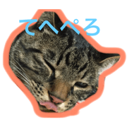 noanokaogei