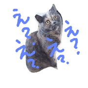 busakawaichika